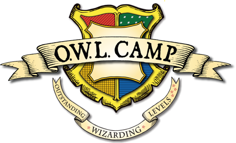owl camp badge