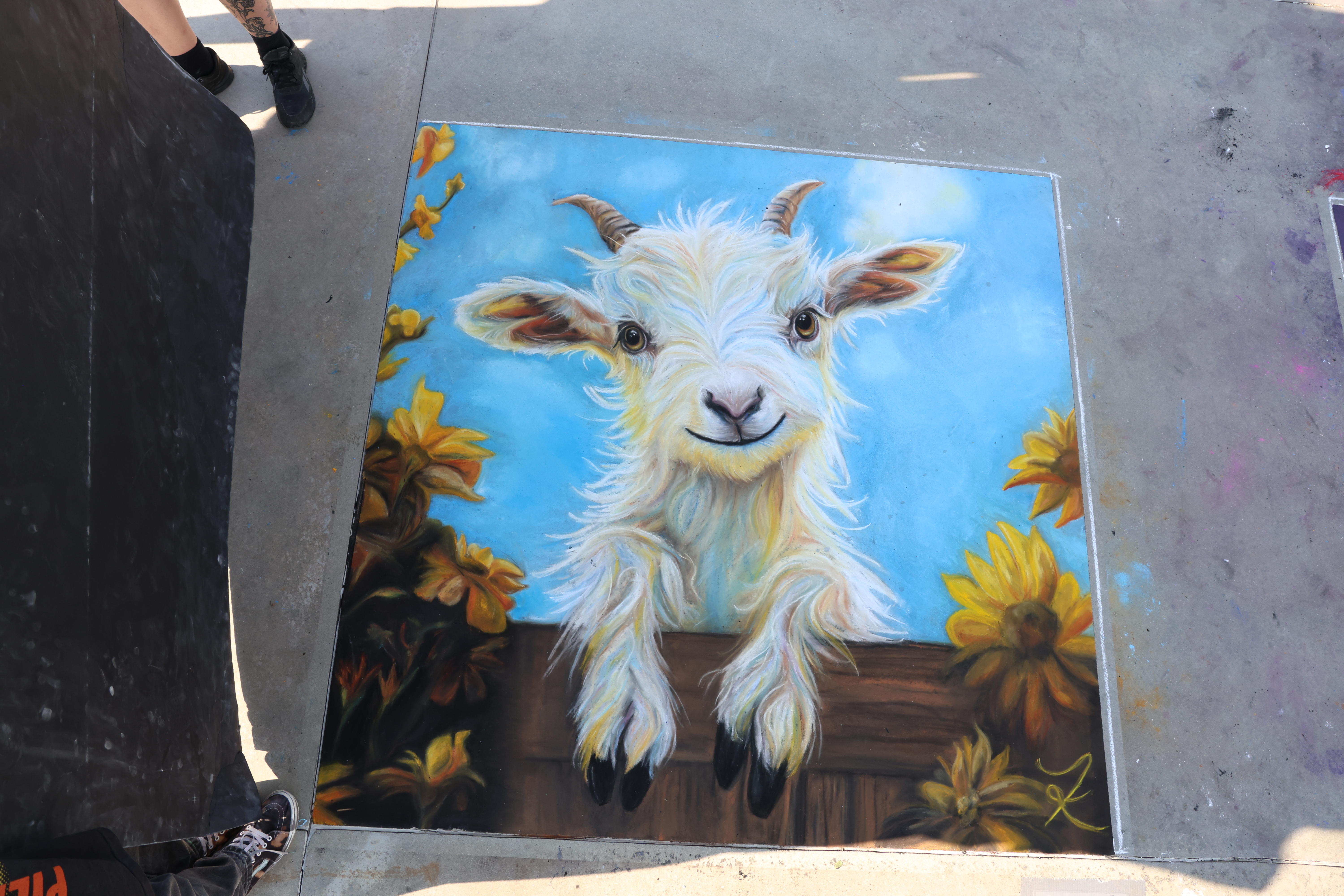 Sun Flower Goat