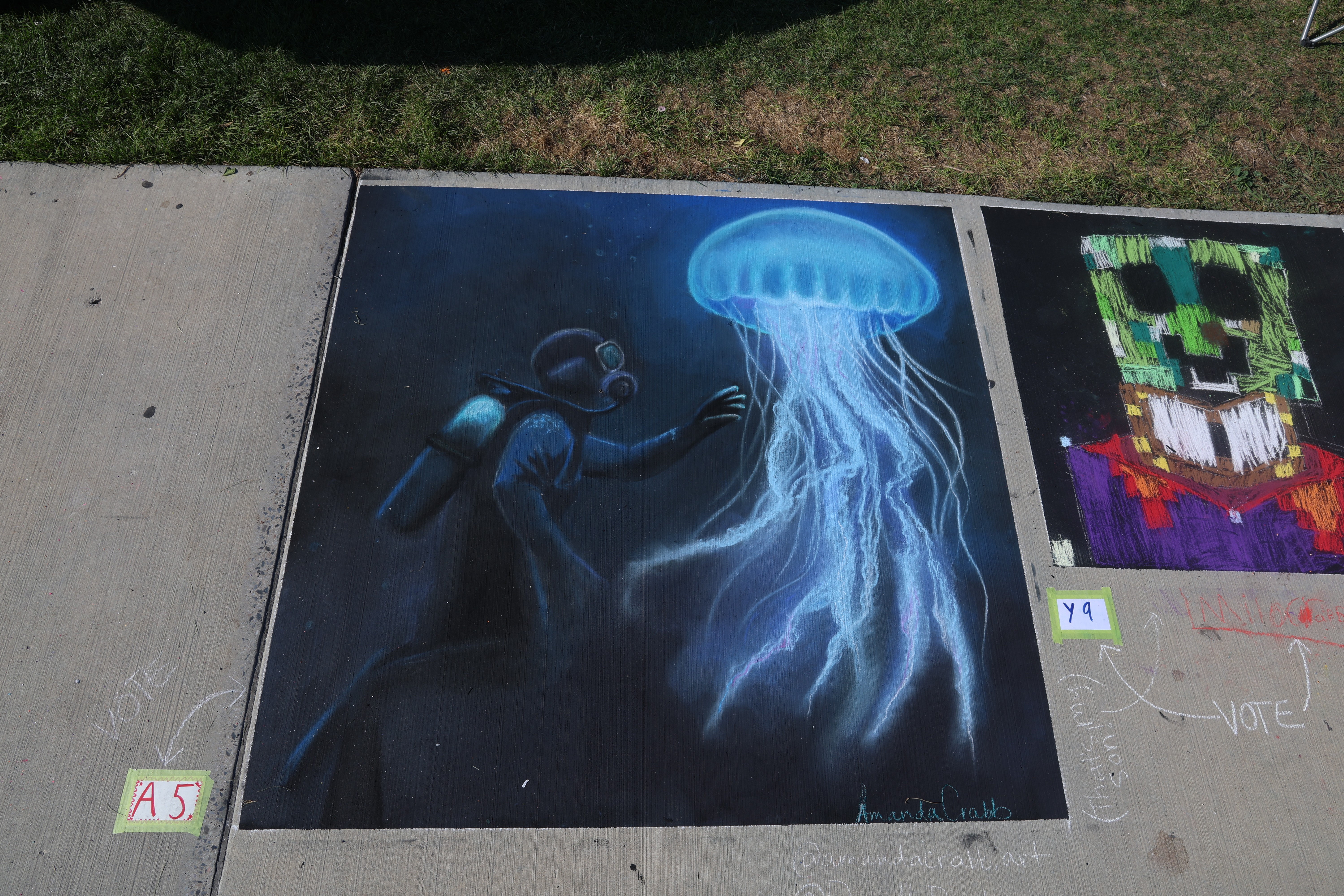 Jelly Fish Diver