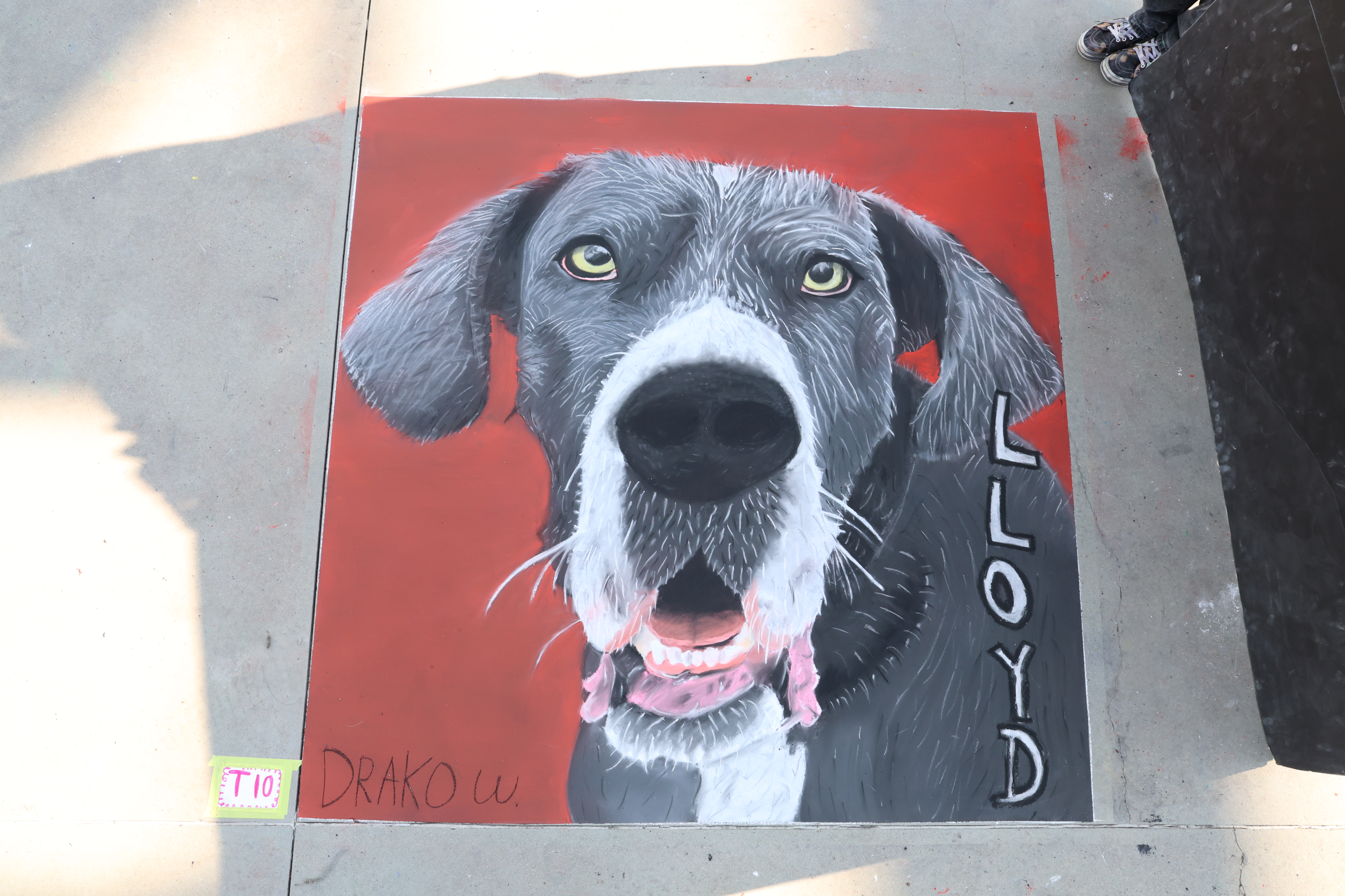Great Dane