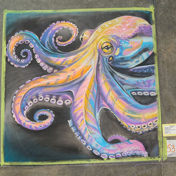 An Octopus
