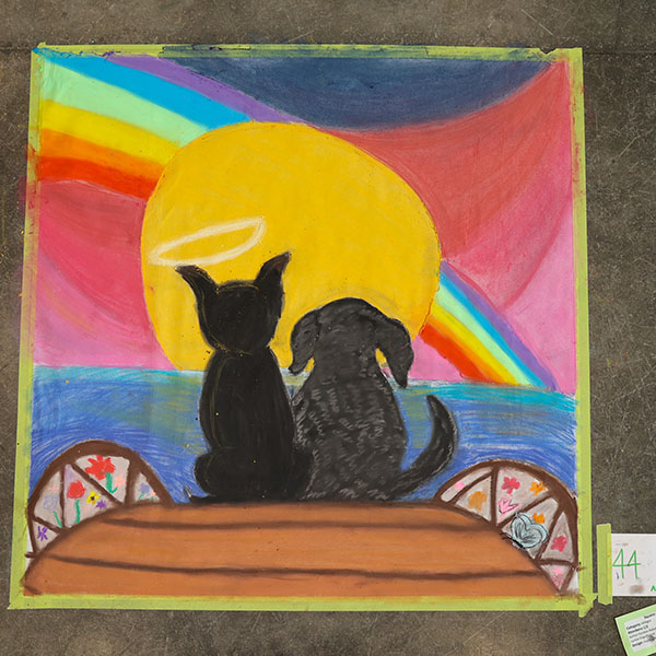 Dog & Cat under a Rainbow