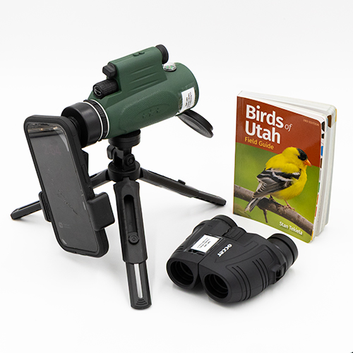 Bird Watching Kit