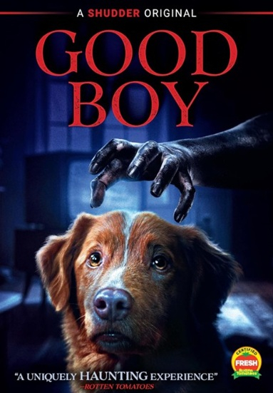 Movies The County Library 