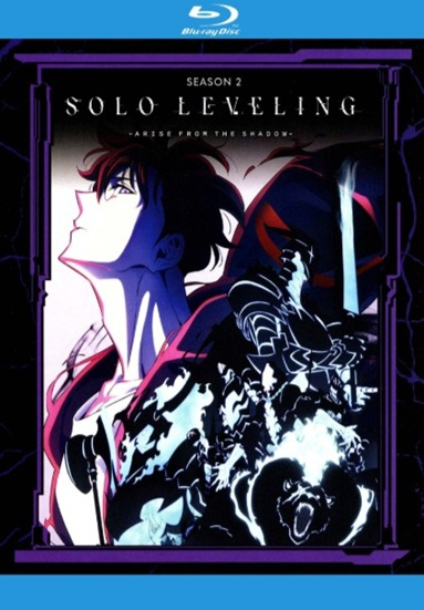 Solo Leveling: Arise from the Shadow. Season 2