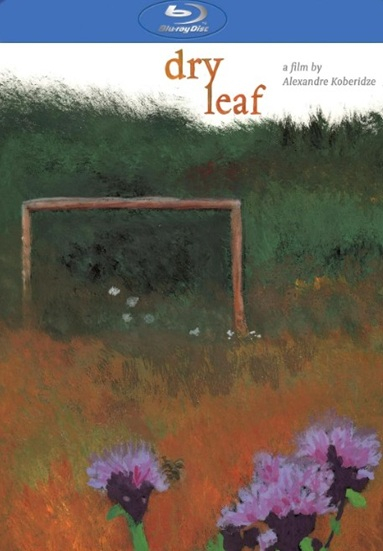 Dry Leaf