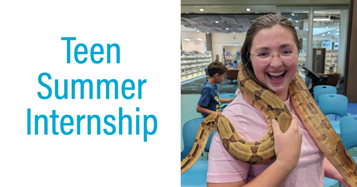 Summer Internship