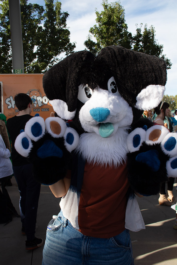 A cosplayer as furry animal